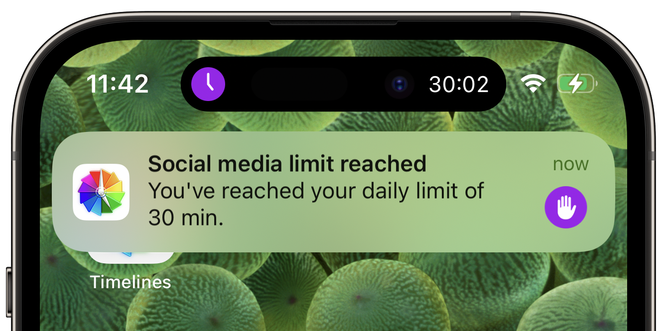 Screenshot - notification (full-screen cutout?)